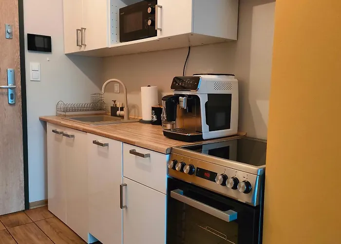 Sleep In Centrum Apartman *